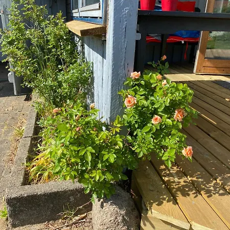 Holiday home Charmerende Aeldre Sommerhus Taet Pa Strand Og City *